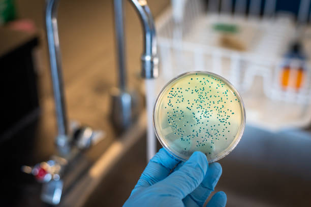 Why Bacteria Testing Still Matters in Serious Water Analysis
